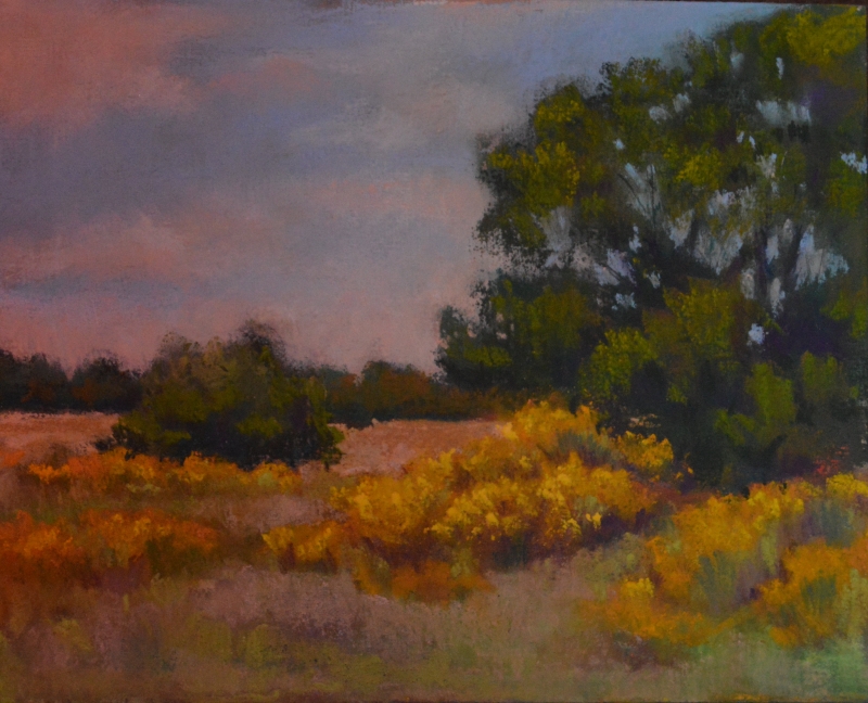 Central Texas in Mills County by artist julia fletcher